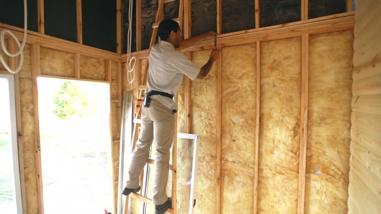 Best Insulation for Existing Homes  in Flora, IL